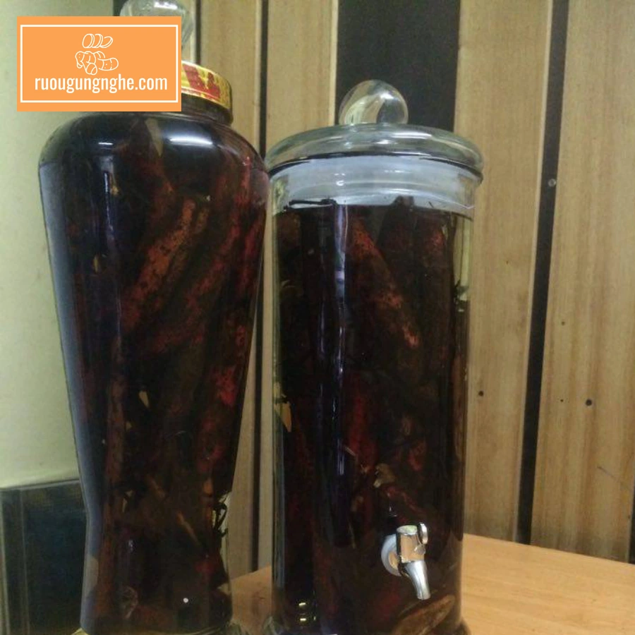 Cách ngâm rượu bòi vịt đơn giản