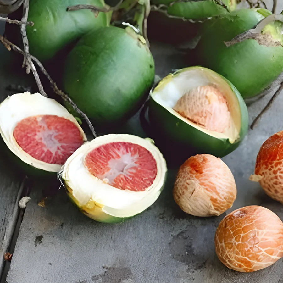 Cách ngâm rượu hạt cau tươi