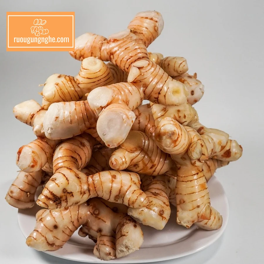 Cách ngâm rượu củ riềng