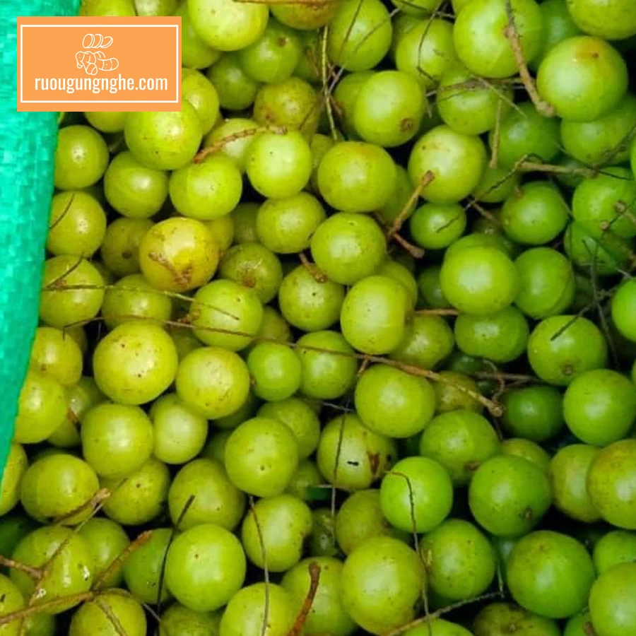 7 lợi ích của quả mắc kham ngâm rượu