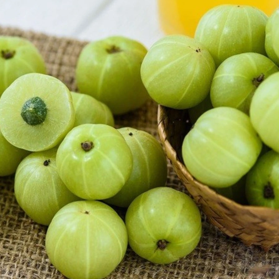 Khám phá 7 lợi ích của quả mắc kham ngâm rượu