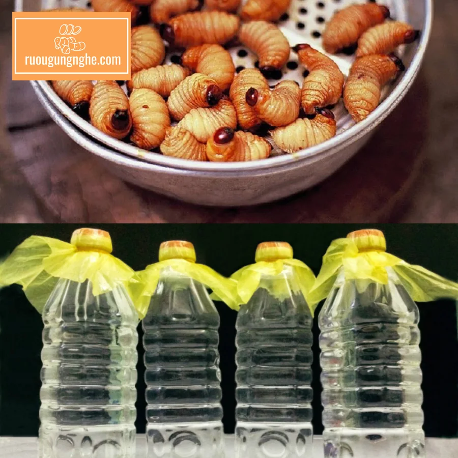 Quy trình chế biến đuông dừa ngâm rượu
