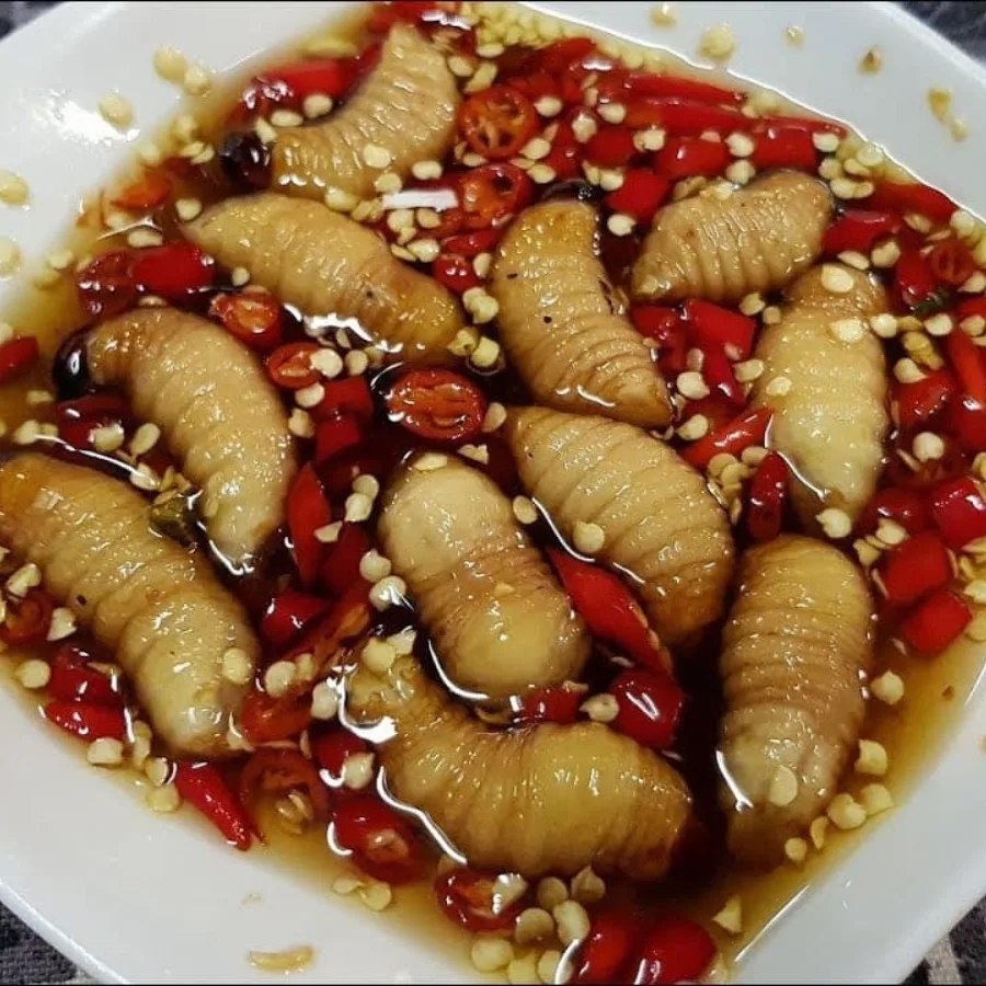 Những lưu ý khi sử dụng đuông dừa ngâm rượu