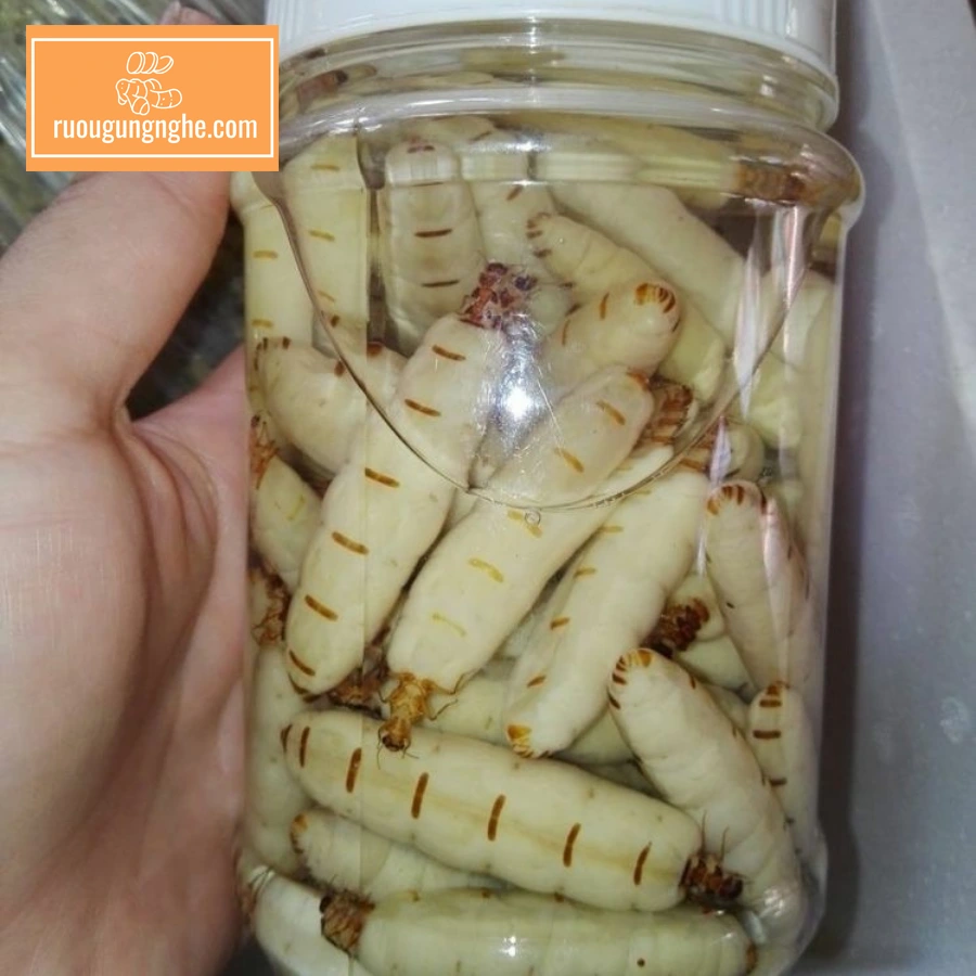 Cách ngâm mối chúa với rượu đúng chuẩn