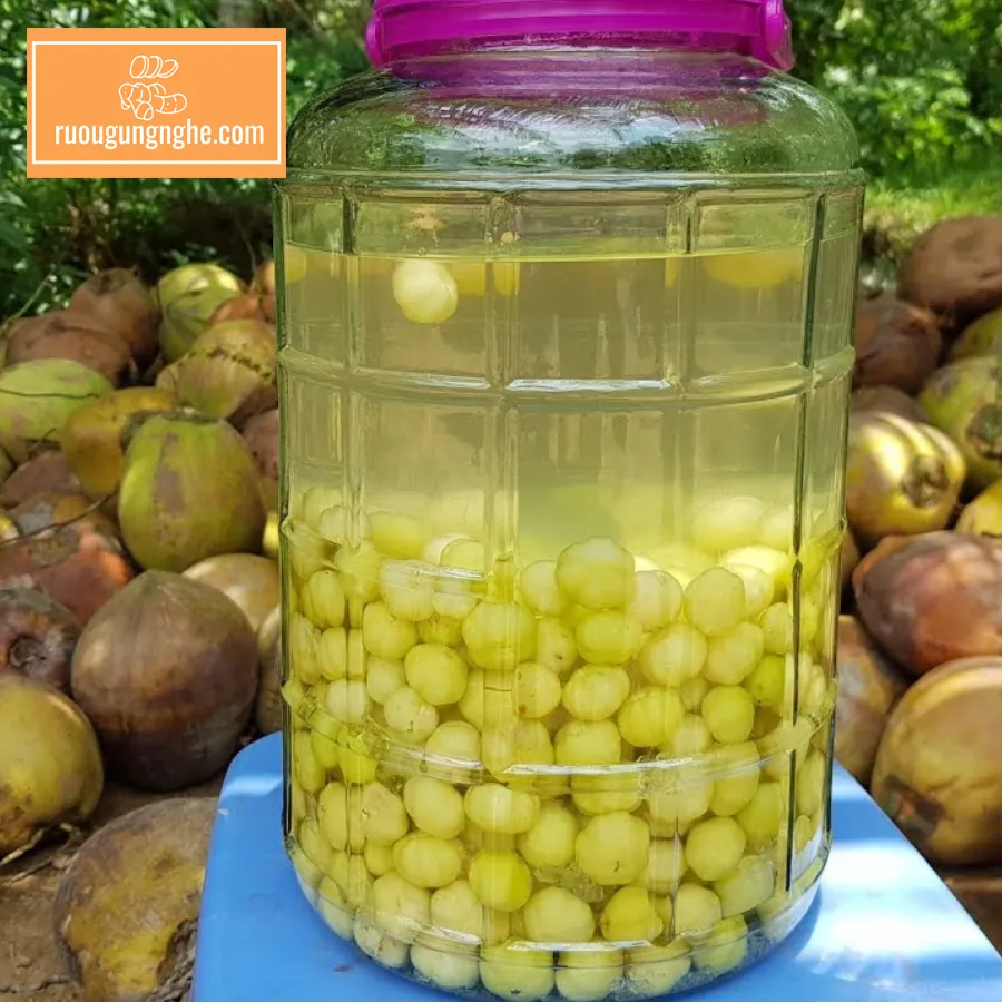 Tác dụng chùm ruột ngâm rượu là gì